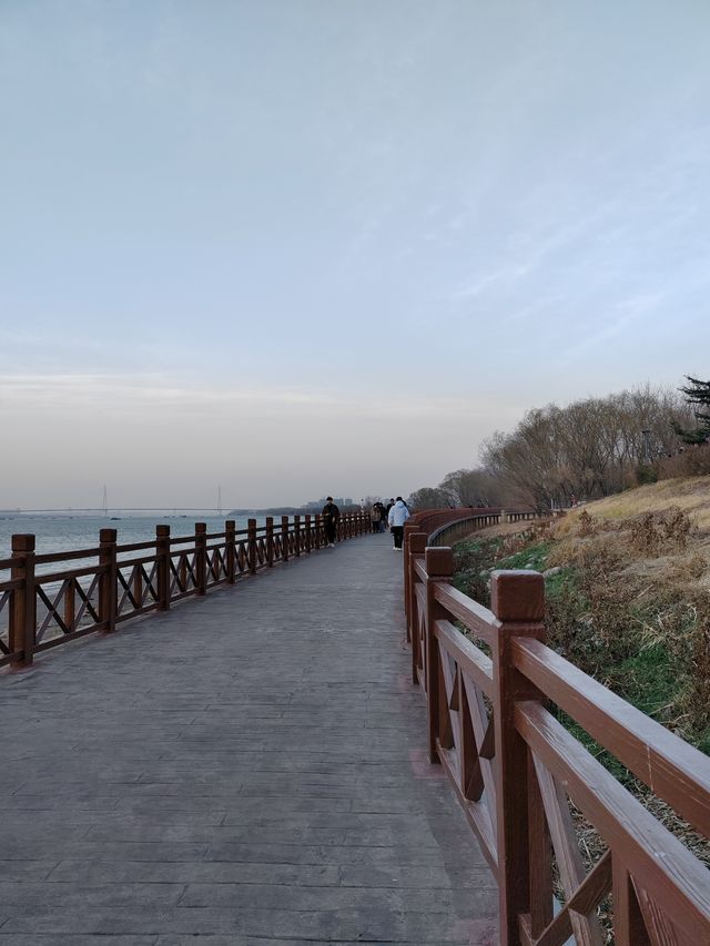 魚嘴濕地公園：邂逅江邊的自然秘境
