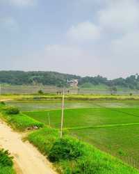韓國坡州 | 臨津閣和平世界公園