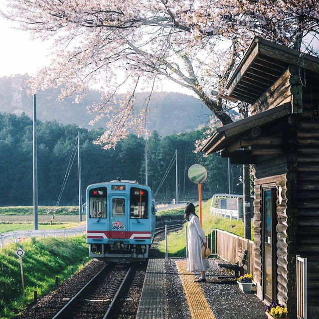 🌸名古屋 | 原以為嵐山電車已美極，直至我來到這裡…