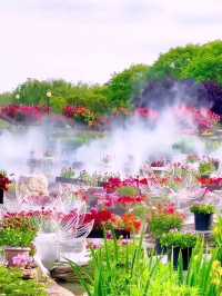 春天的鹽城！現實版莫奈花園賞花攻略