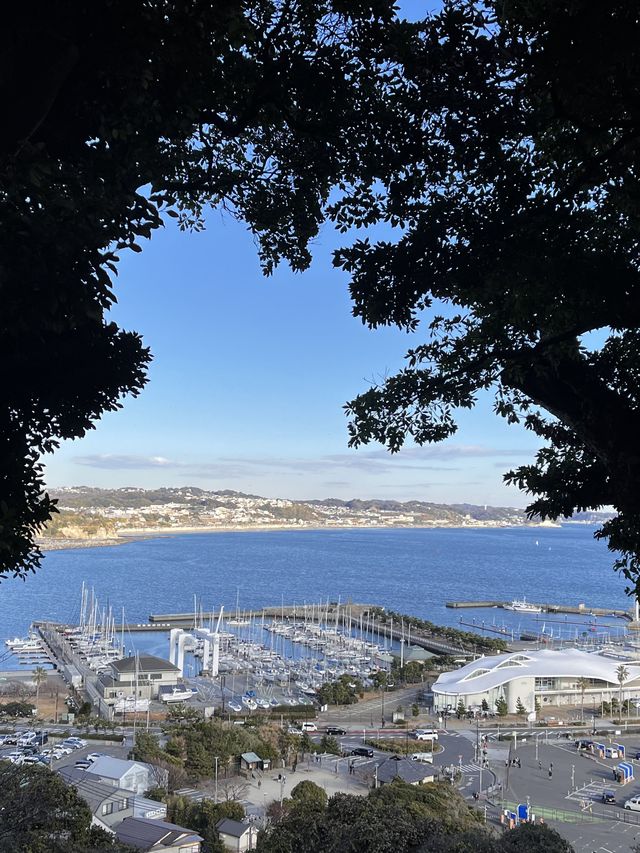 清明日本2天遊玩熱門景點推介