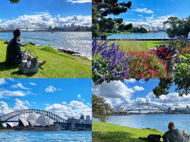 Harbour View Lawn  in front of the Opera House 