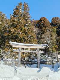東京近郊｜雪國森林長野兩日遊攻略