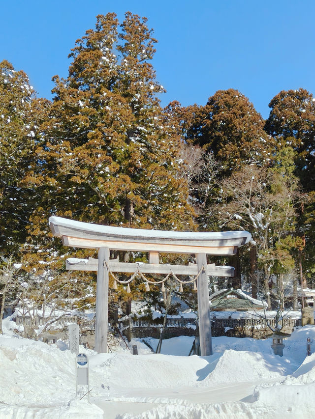 東京近郊｜雪國森林長野兩日遊攻略