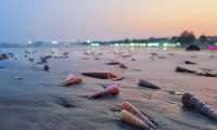 趕海初體驗 海鮮自由夢 「小越南」防城港