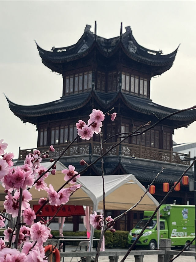 桃花塢春色