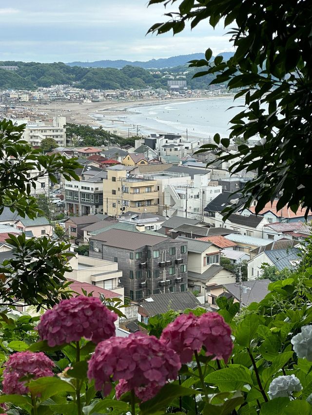 日本6天 旅行全攻略肯定吸引你點擊
