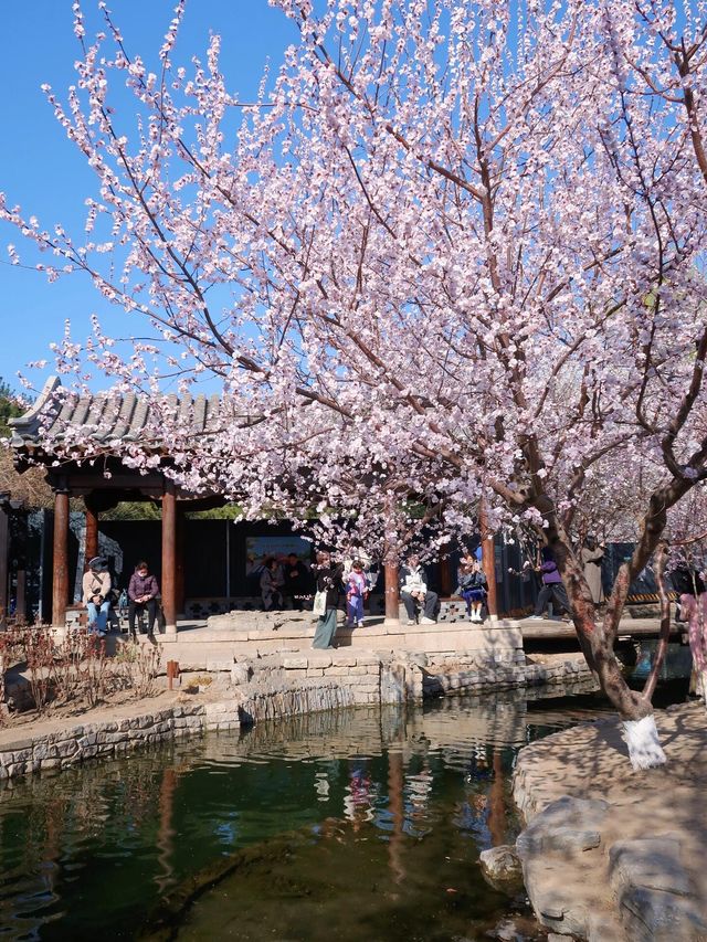 北京三里河公園