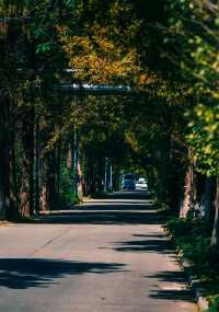 你會來潛江嗎