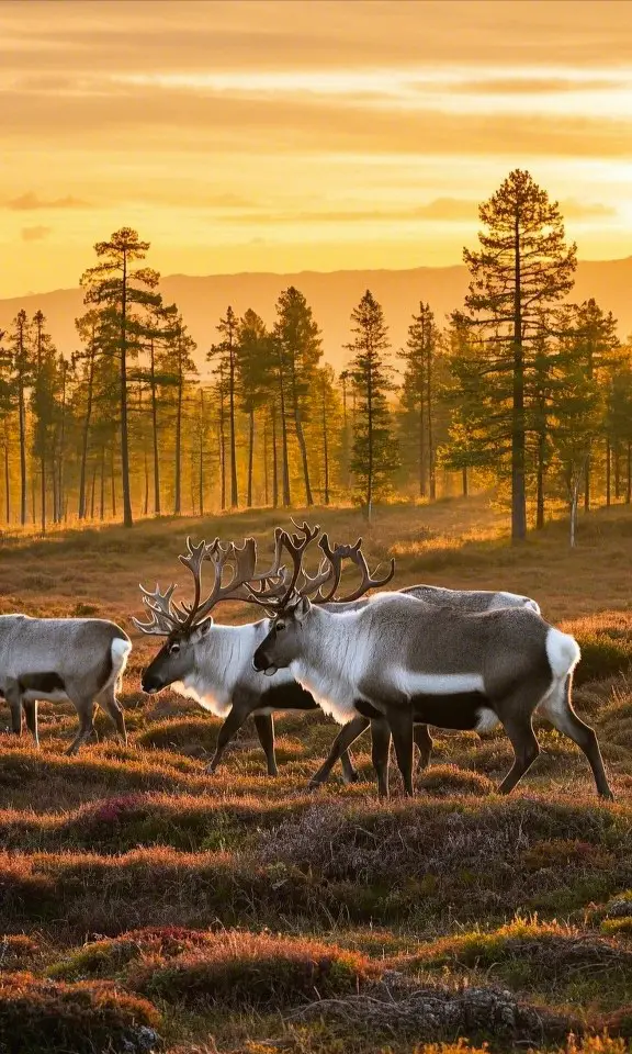 【中國野性地圖】徒步者用血淚總結的6大終極挑戰！