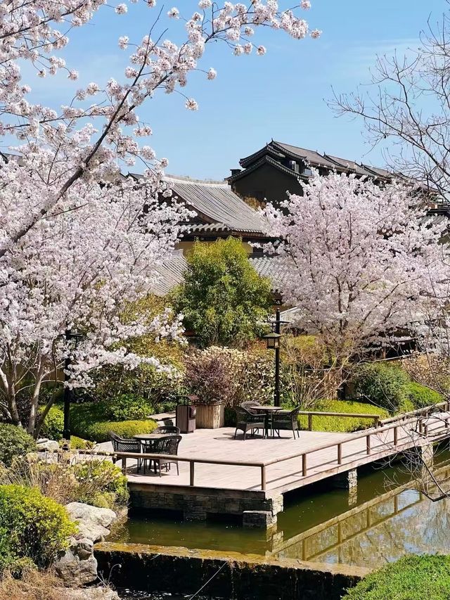 全家都讚好嘅太白山溫泉之旅