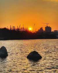 闖進現實版莫奈花園，邂逅高陽市的浪漫