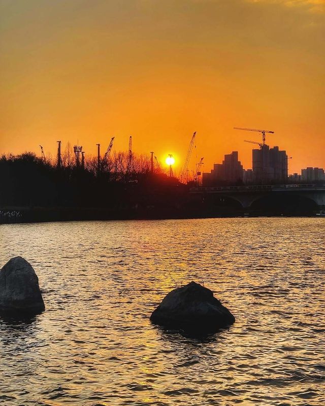 闖進現實版莫奈花園，邂逅高陽市的浪漫