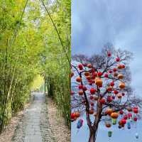 西溪濕地公園旅遊攻略