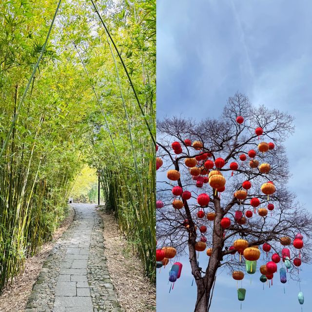 西溪濕地公園旅遊攻略