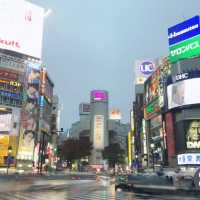東京一日攻略：從皇居古韻到澀谷霓虹