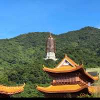 🌿【深圳仙湖植物園懶人攻略】✨
