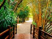 Nansha Wet Land: Pearl River Delta Relaxation Oasis