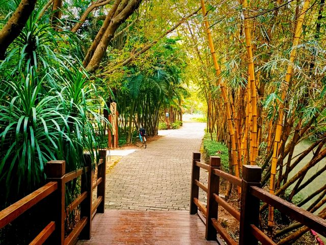 Nansha Wet Land: Pearl River Delta Relaxation Oasis