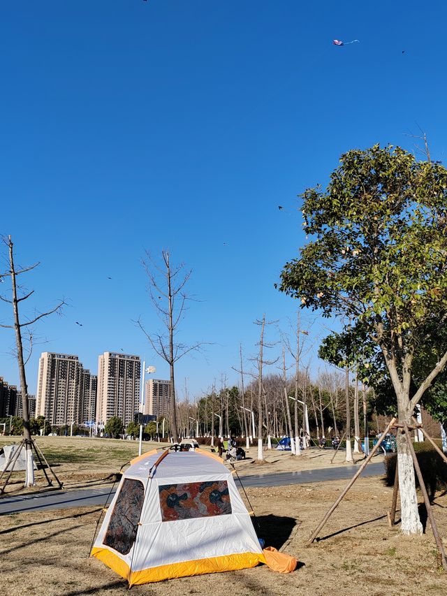 南京城東的「超級綠肺」——麒麟中央公園