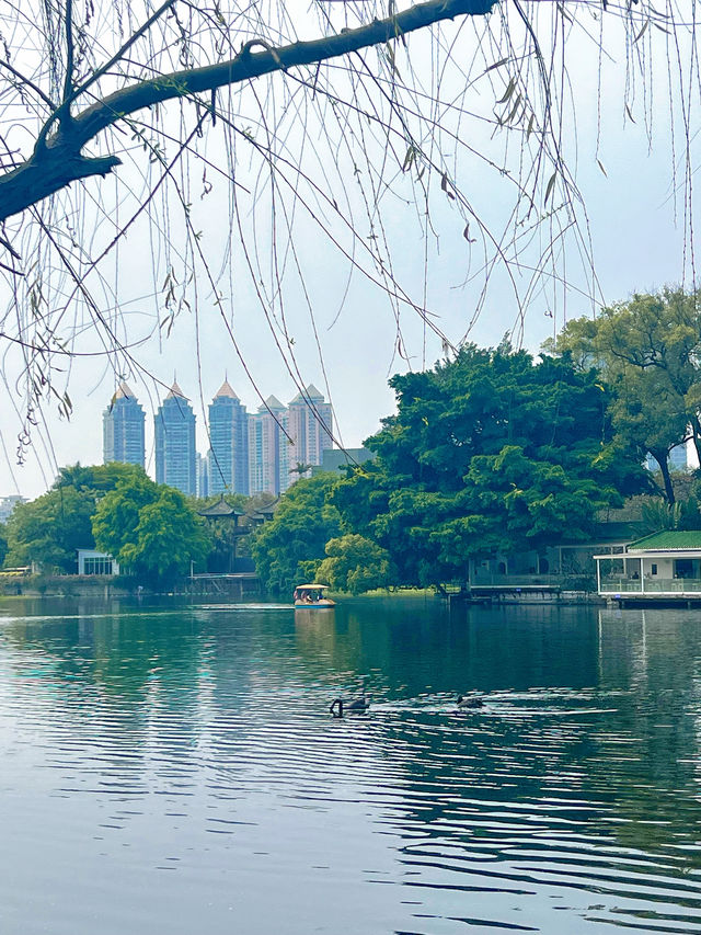 東山湖公園嘅中式美學