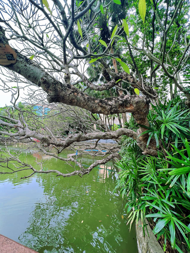 東山湖公園嘅中式美學
