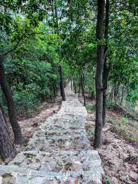 🌿探秘珠海長南逕古道遺址