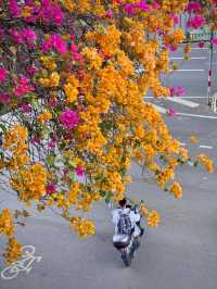 泉州3天2夜精華攻略