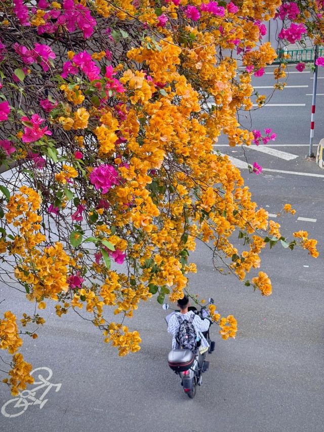 泉州3天2夜精華攻略