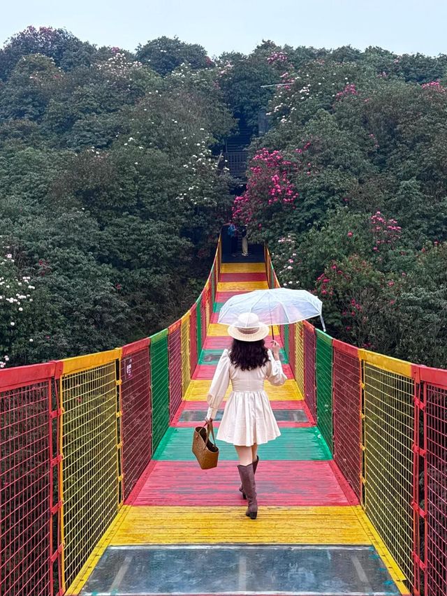吐血整理！百里杜鵑最強遊玩攻略