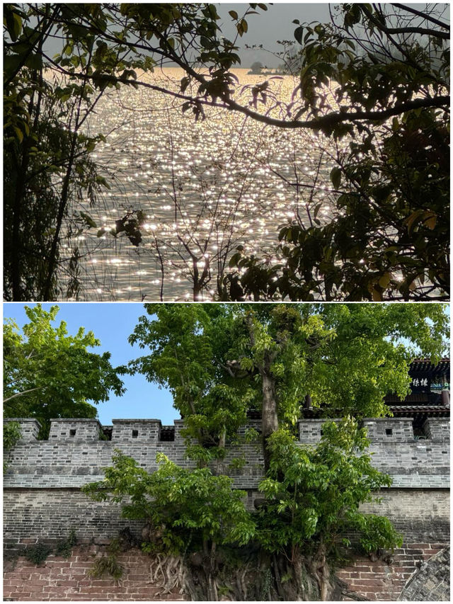 西昌受罪已回，說點難聽大實話