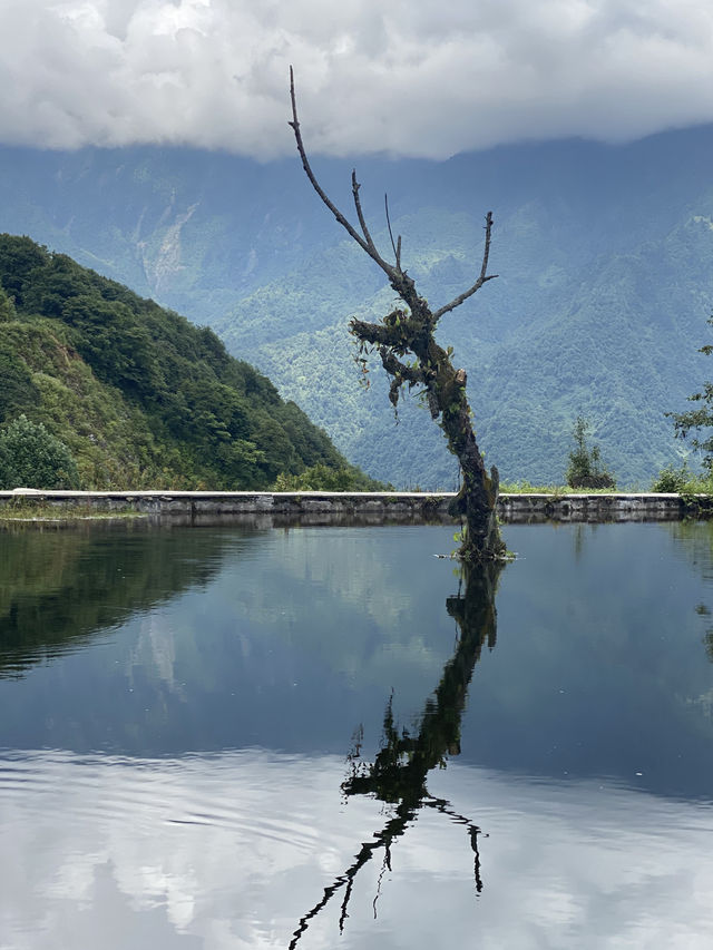 成都周邊旅遊攻略｜峨邊｜超絕四川「阿勒泰」黑竹溝馬里冷舊