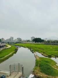 石岩湖濕地公園 | 環湖徒步騎行天花板