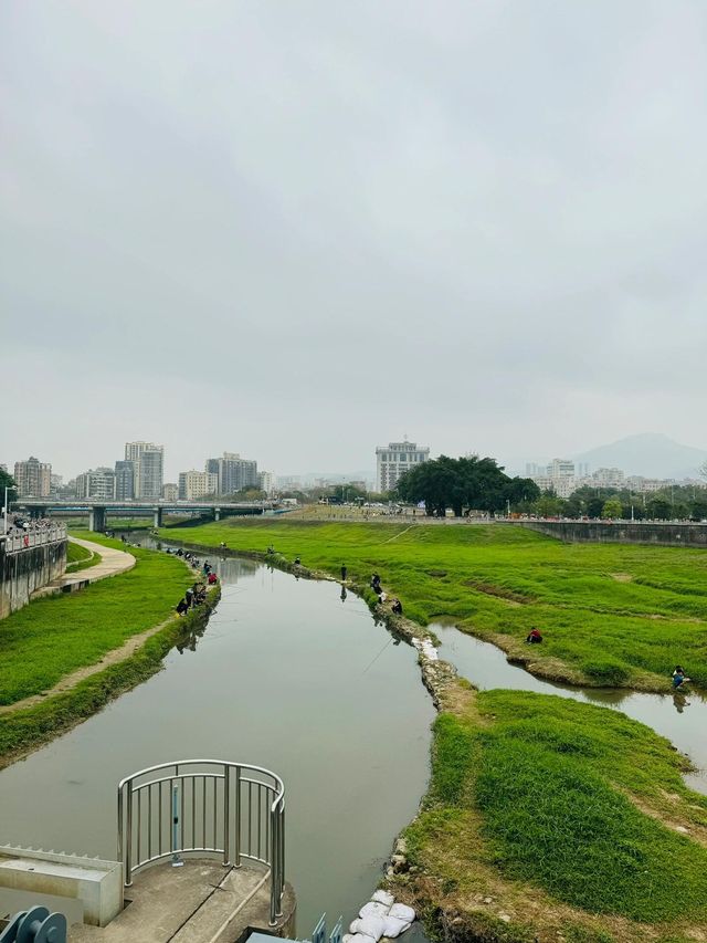 石岩湖濕地公園 | 環湖徒步騎行天花板