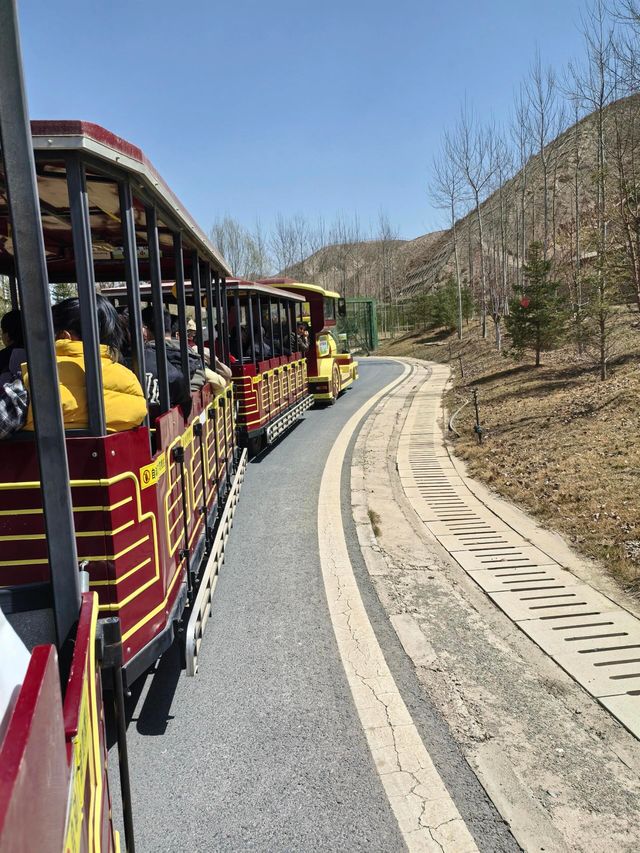 蘭州野生動物園攻略！看萌獸逛海洋，親子遊必打卡