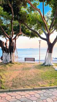 慢行鼓浪嶼｜打卡世界文化遺產的10種浪漫方式
