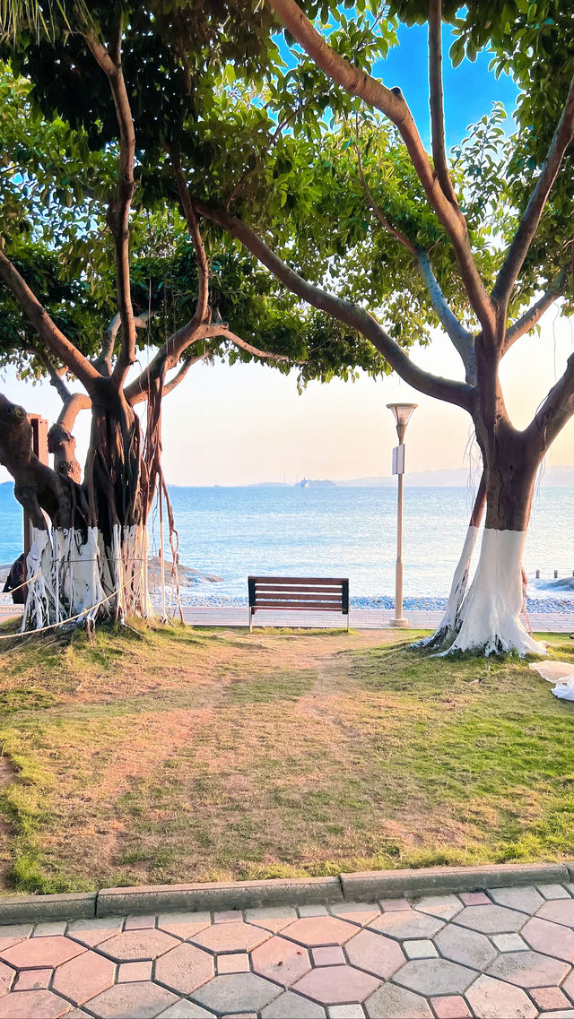 慢行鼓浪嶼｜打卡世界文化遺產的10種浪漫方式