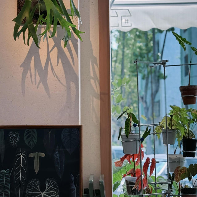 🌞中山週末必衝！藏在陽光裡的治癒系咖啡館☕️