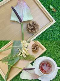 二環裡的戶外花園，和植物來一場環保派對有多酷