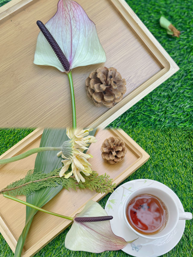 二環裡的戶外花園，和植物來一場環保派對有多酷