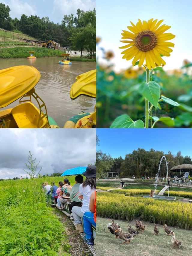 親子必碼｜藏在城市邊的田園烏托邦——友好村