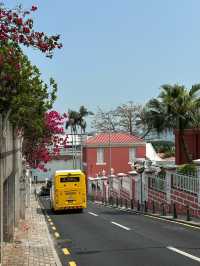 🇲🇴澳門漫遊｜跌入葡式建築嘅彩色童話世界🎨