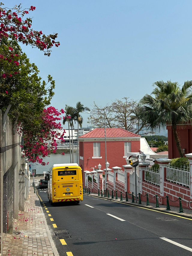 🇲🇴澳門漫遊｜跌入葡式建築嘅彩色童話世界🎨