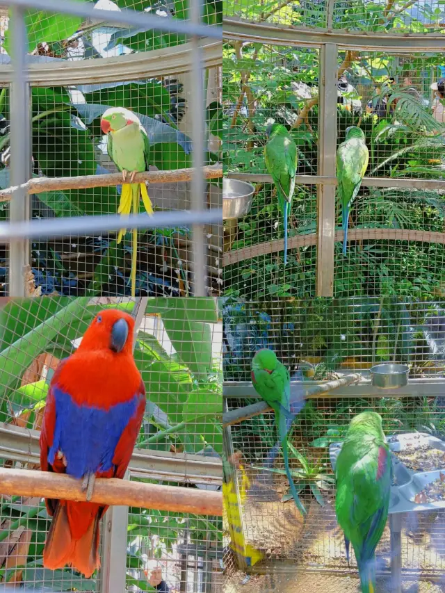 สำรวจดินแดนมหัศจรรย์