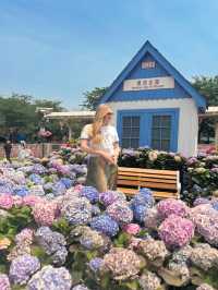 Try not to drown in the “Sea of Flowers” 🌺 in Chengdu!