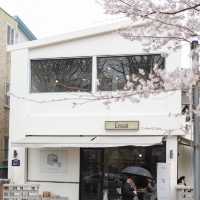 🌸釜山櫻花秘境大曝光！本地人藏著不說的絕美公園