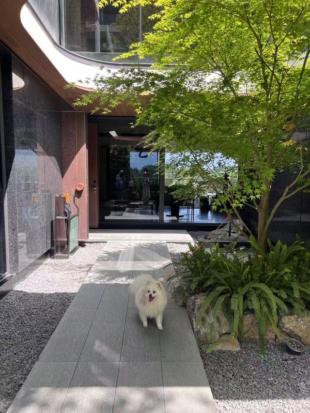 將春天裝進塔希提嘅小獨棟，靚到失