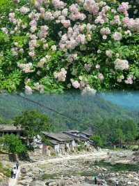 青木川古鎮｜我搵到理想中嘅慢生活
