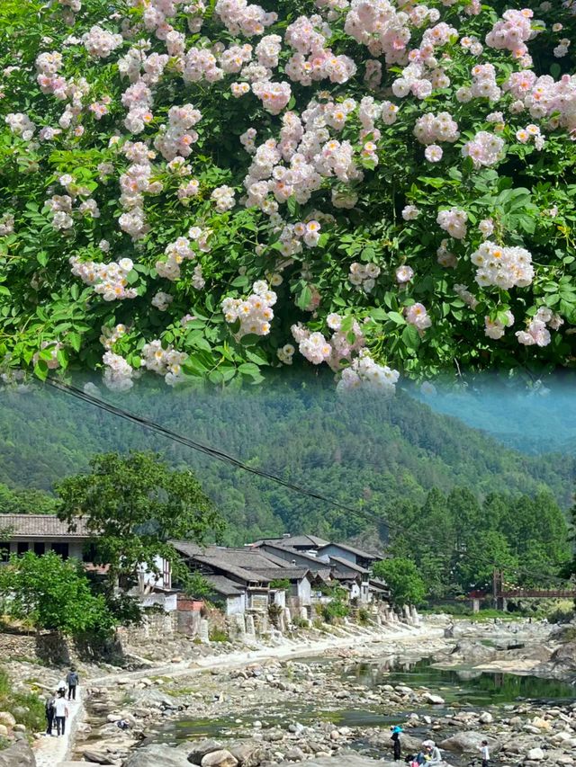 青木川古鎮｜我搵到理想中嘅慢生活