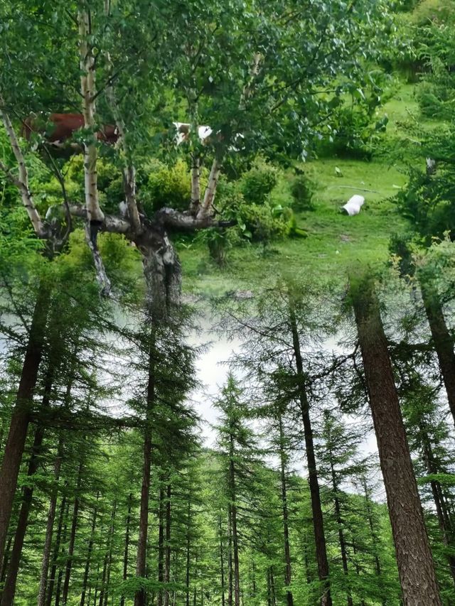 雲頂山世外桃源全攻略